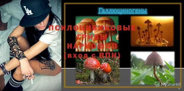 дживик Алексин